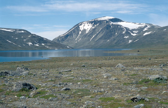 Bessvatnet mit Gletscher Besshøbreen in Jotunheimen