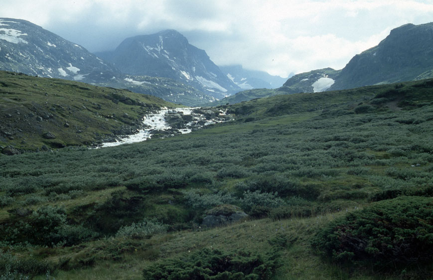 Leirungsdalen in Jotunheimen