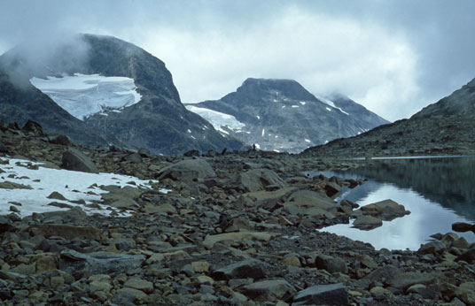 See 1678 in Jotunheimen