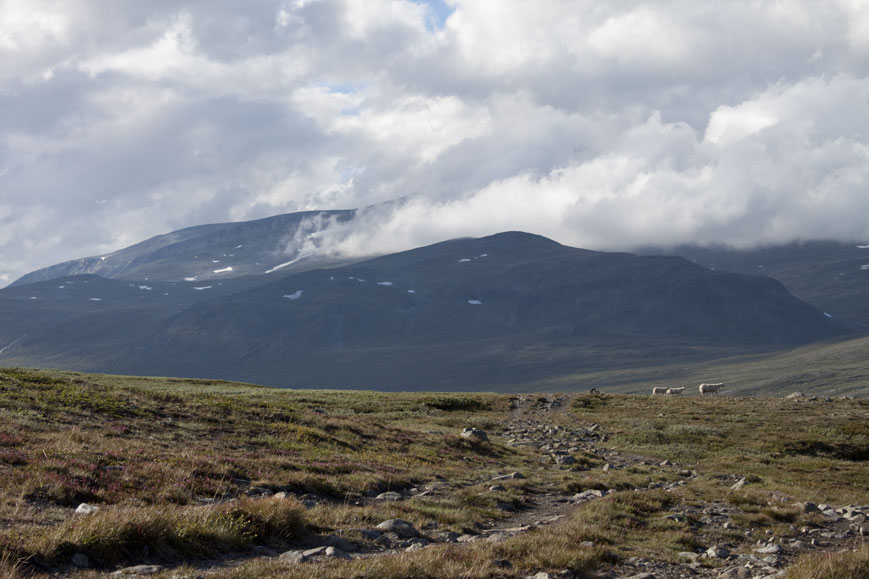 Sikkidalshøa in Jotunheimen