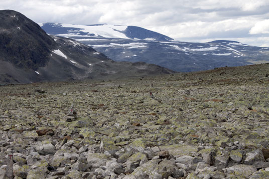 Skautflye in Jotunheimen