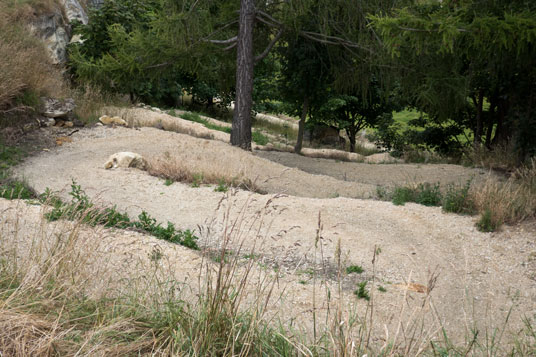 Alps 2 Ocean Cycle Trail beim Fortification Hill