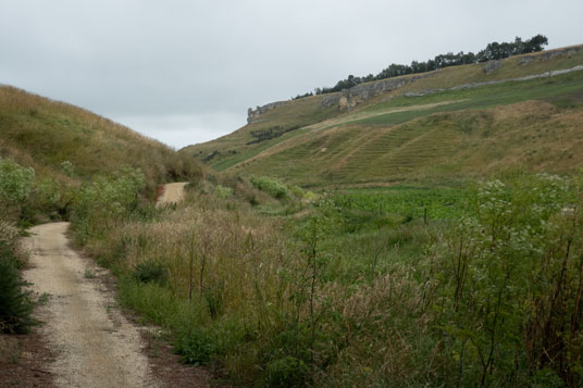 Alps 2 Ocean Cycle Trail am Karara Creek