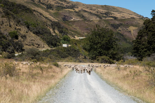 Steiler Anstieg des Around the Mountains Cycle Trail zwischen Lake Wakatipu und Mavora Lakes