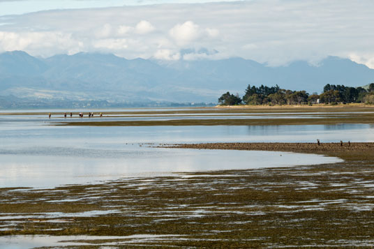 Arthur Range bei Takaka