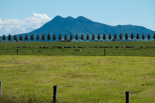 Weideland an der Broadlands Road südlich von Reporoa