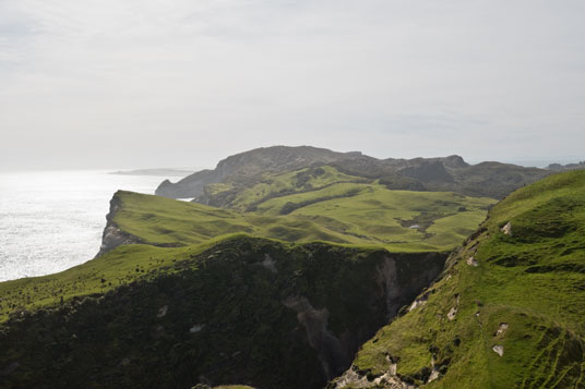 Hill Top Track entlang der Küste beim Cape Farewell