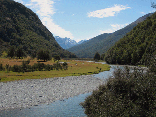 Caples River