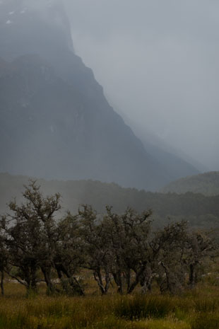 Blick vom Paradise ins Dart Valley