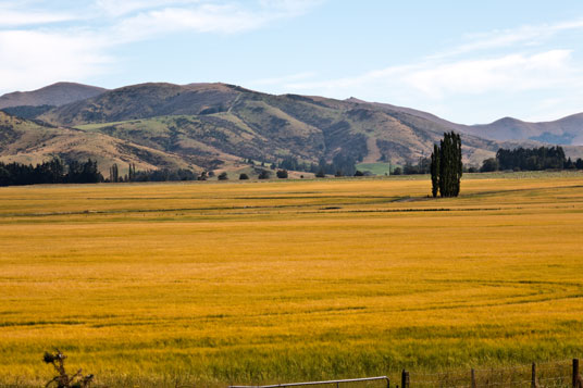 Eyre Mountains westlich des SH6