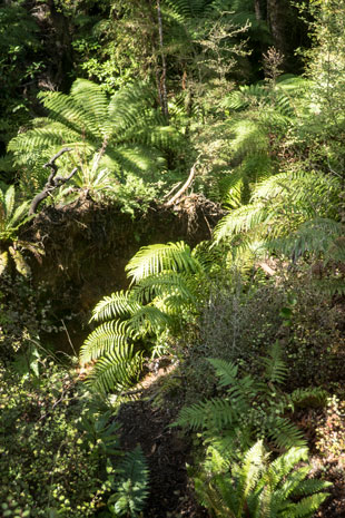 Fenian Caves Loop Track