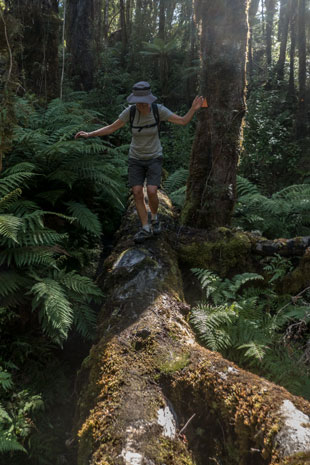 Fenian Caves Loop Track