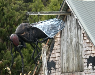 Giant Sandfly