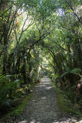 Heaphy Track