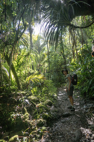 Heaphy Track