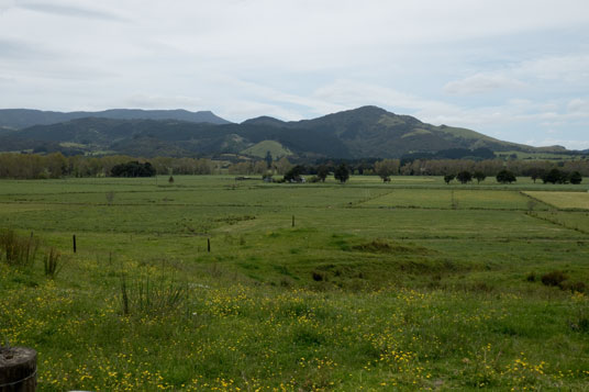 Tal mit dem Kaihu River südlich des Ortes Kaihu