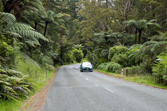 Kaitaia-Awaroa Road  westlich von Broadwood