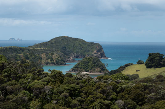 Kokutauwhao Island bei Tutukaka