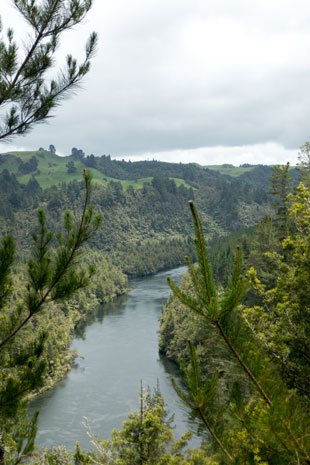 Lake Arapuni nördlich des Waipapa Damms