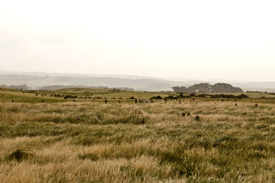 Landschaft beim Waipapa Point