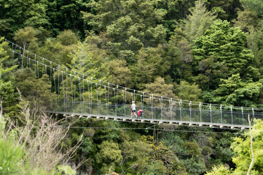 Mangakino Bridge