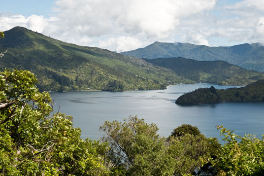 Queen Charlotte Sound