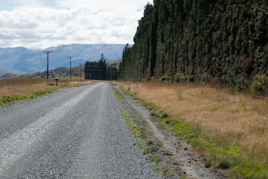 Hecken gegen den Wind an der Mavora Lakes Road fünf Kilometer nördlich des Abzweiges vom SH94