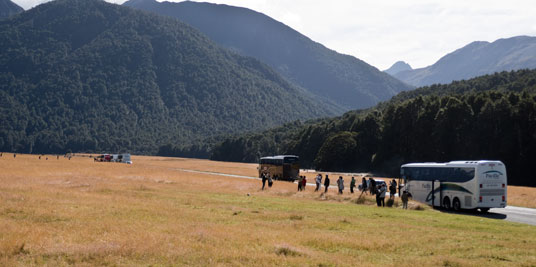 Bustouristen am Milford Sound Highway