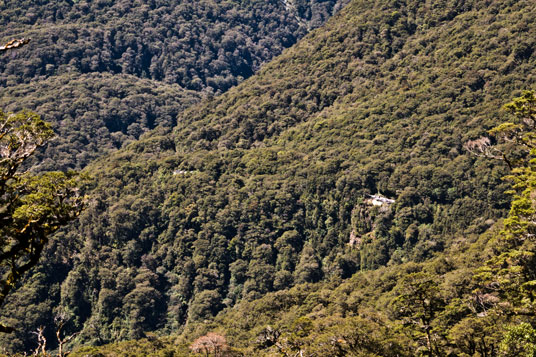 Blick vom Lake Marian Track auf den Milford Sound Highway