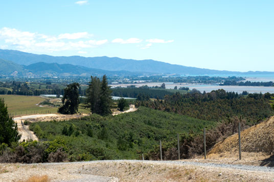 Blick von der Tasman View Road auf Motueka