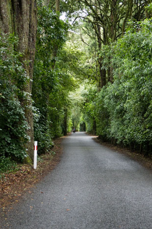 Great Taste Trail auf der Motueka River West Bank Road auf der Höhe von Pokororo