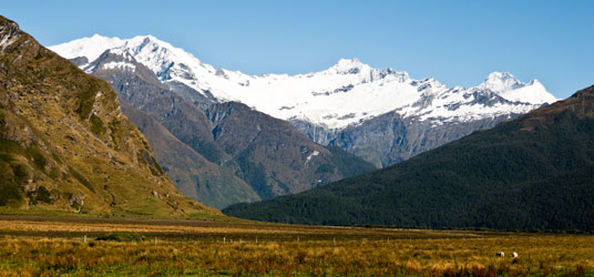 Tal mit dem Ostarm des Matukituki River und dem Mount Aspiring