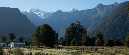 Blick von Fox Glacier auf Mount Cook