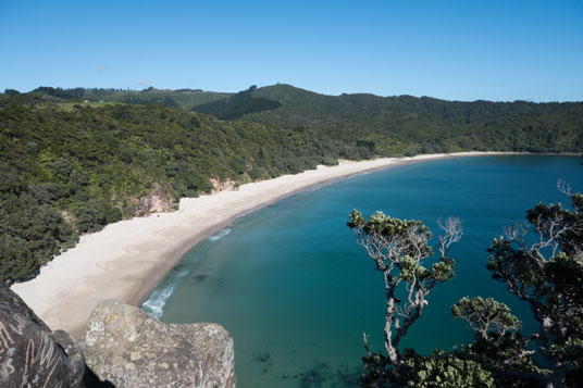 New Chums Beach bei Whangapoua