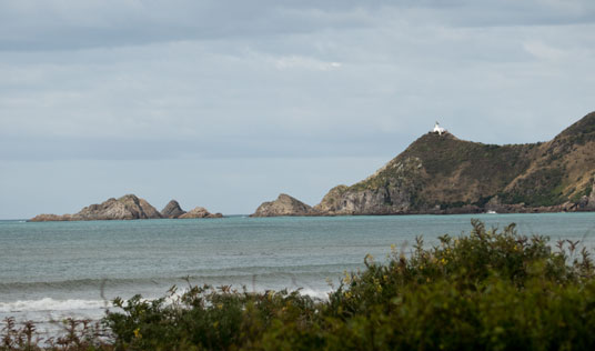 Nugget Point