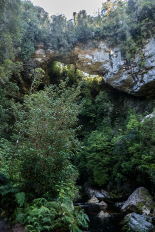 Oparara Arch