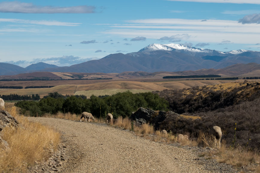 Otago Central Rail Trail