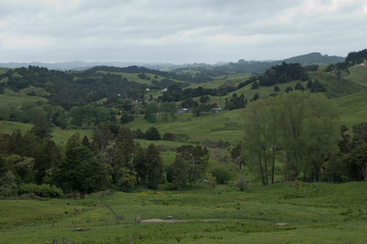 Weideland östlich von Paparoa