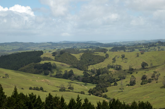 10 km südlich von Wellsford