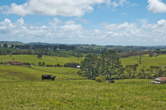 20 km vor Auckland