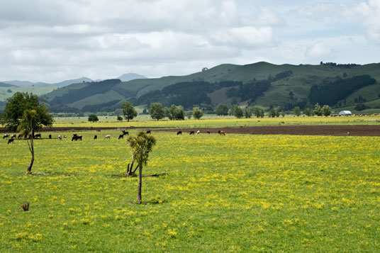 Hauraki Rail Trail zwischen Paeroa und Te Aroha