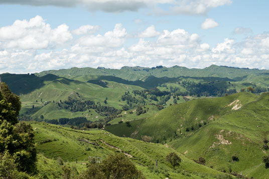 Farmland an der Owhakura Road