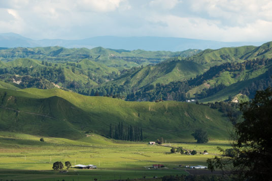 Farmland am SH1 nördlich von Taihape