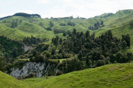 An der Ruahine Road