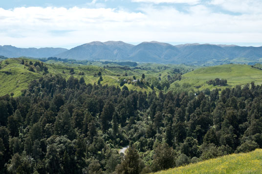 Blick von der Ruahine Road