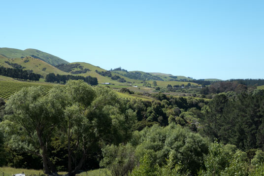 Landschaft nördlich von Martinborough