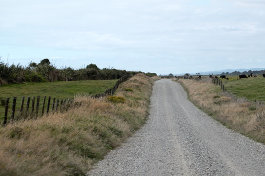 Schotterpiste bei Kakapotahi