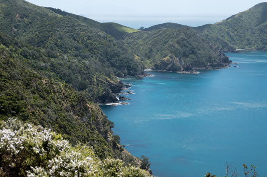 Coromandel Coastal Walk Way an der Poley Bay