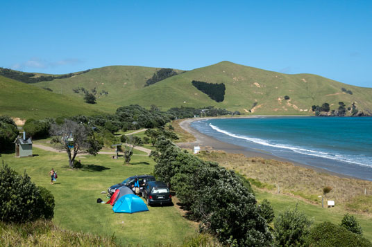 Port Jackson Campsite