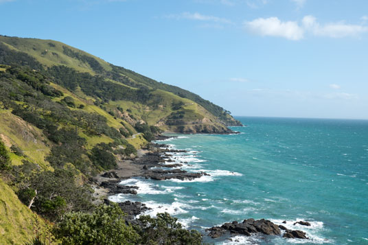 Port Jackson Road nördlich der Fantail Bay